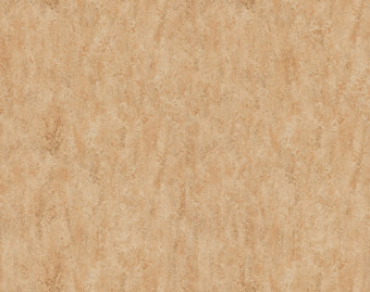 [100111111_20] Marmoleum Real - 3075 shell